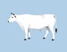 AI: Bull